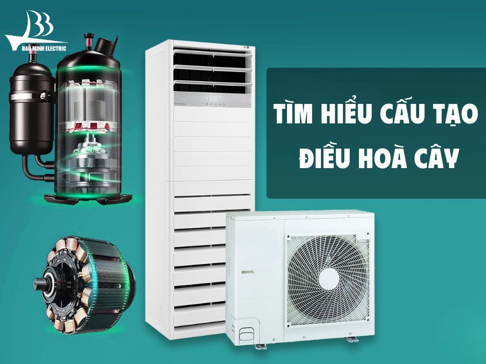 Cấu tạo điều hoà cây gồm các bộ phận