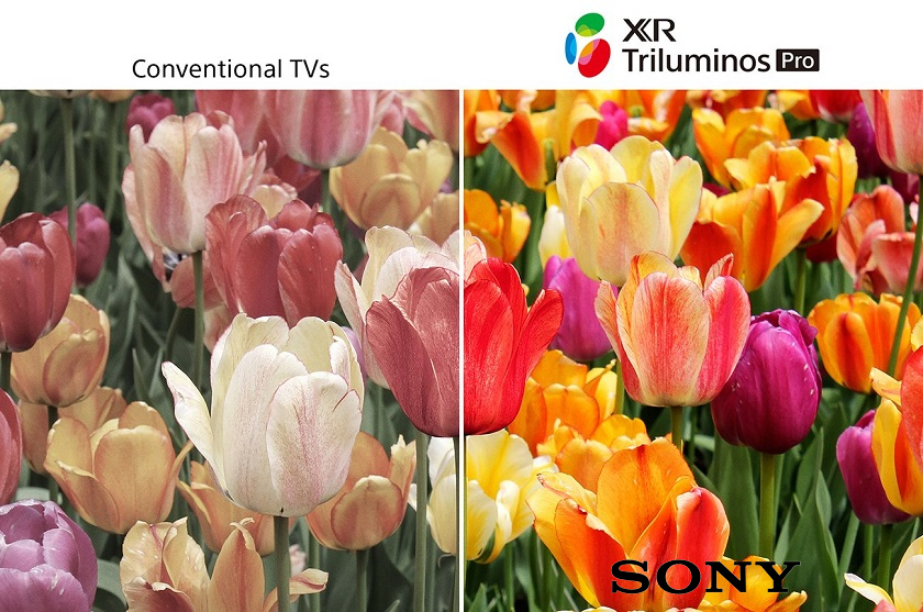 Tivi Sony Triluminos Pro tăng cường màu sắc