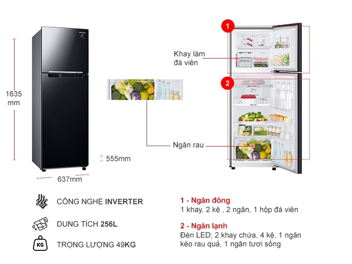  Thiết kế và tính năng của tủ lạnh Samsung RT25M4032BU/SV