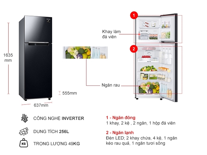 Thiết kế tủ lạnh Samsung inverter 256 lít RT25M4032BU/SV