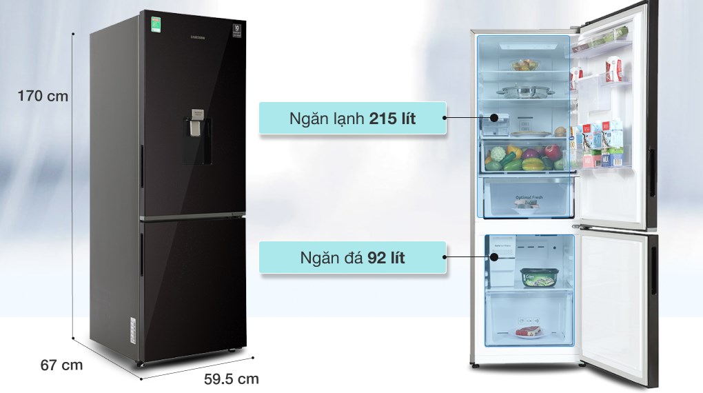  Các đặc điểm và tính năng nổi bật của tủ lạnh Samsung RB30N4190BY/SV