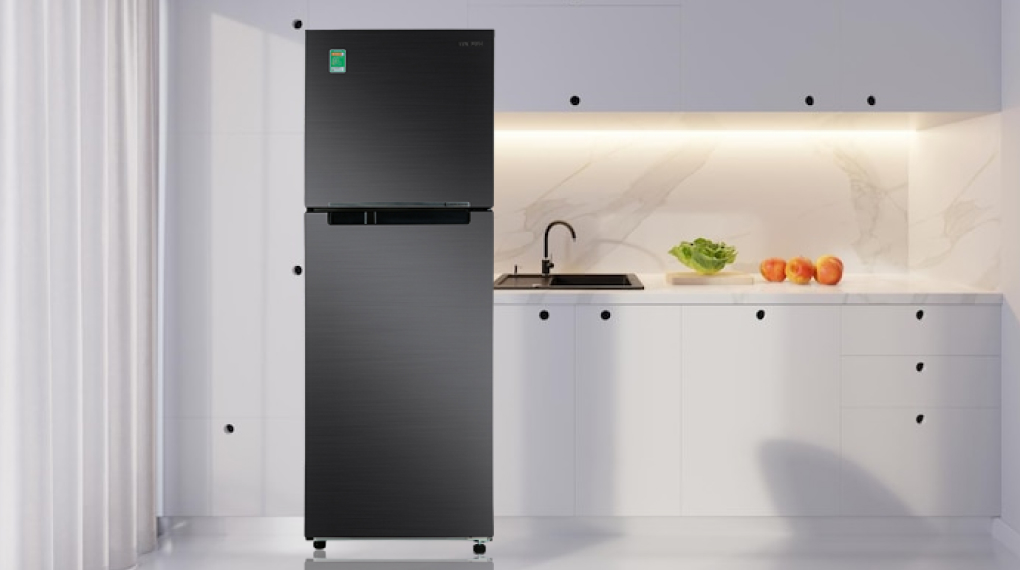  Thiết kế của Tủ lạnh Samsung RT29K503JB1/SV
