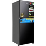 Tủ Lạnh Panasonic NR-TV301BPKV-1