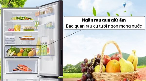  Thiết kế Tủ lạnh Samsung RB33T307055/SV
