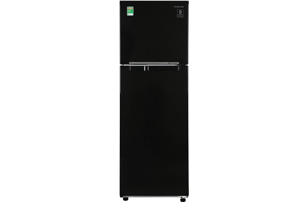 Tổng quan về tủ lạnh Samsung RT25M4032BU/SV