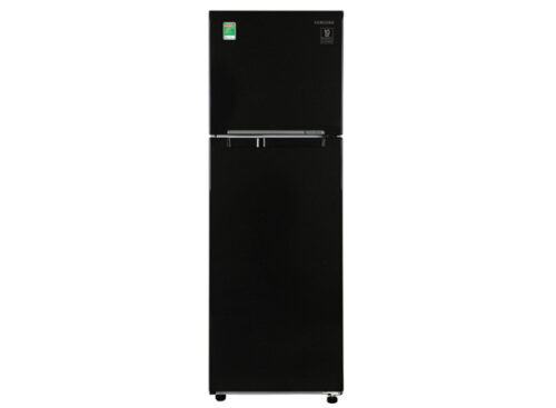 Tủ lạnh Samsung RT25M4032BU/SV