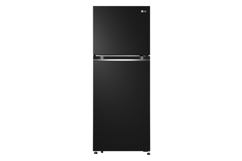 Thông tin về Tủ lạnh LG Inverter 217 Lít GV-B212WB