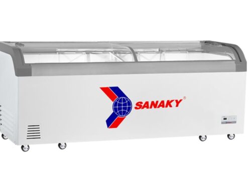 Tủ đông Sanaky VH405W2