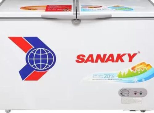 Tủ đông Sanaky VH2899A1