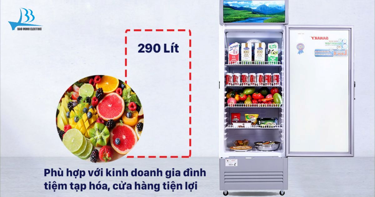 Tủ mát Sanaky VH358K3L