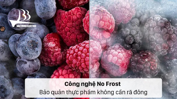 Công nghệ Nofrost của tủ mát Hòa Phát chống bám tuyết, không cần rã đông đồ ăn
