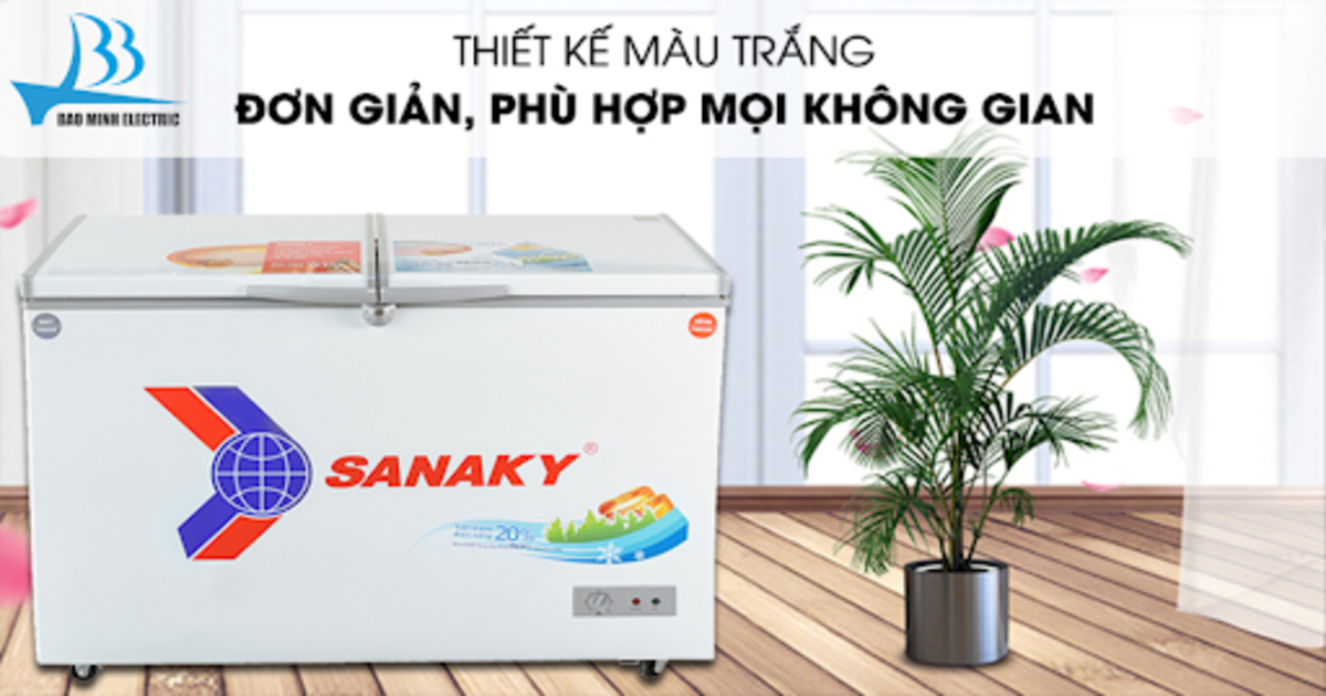 tủ đông Sanaky VH2599W1