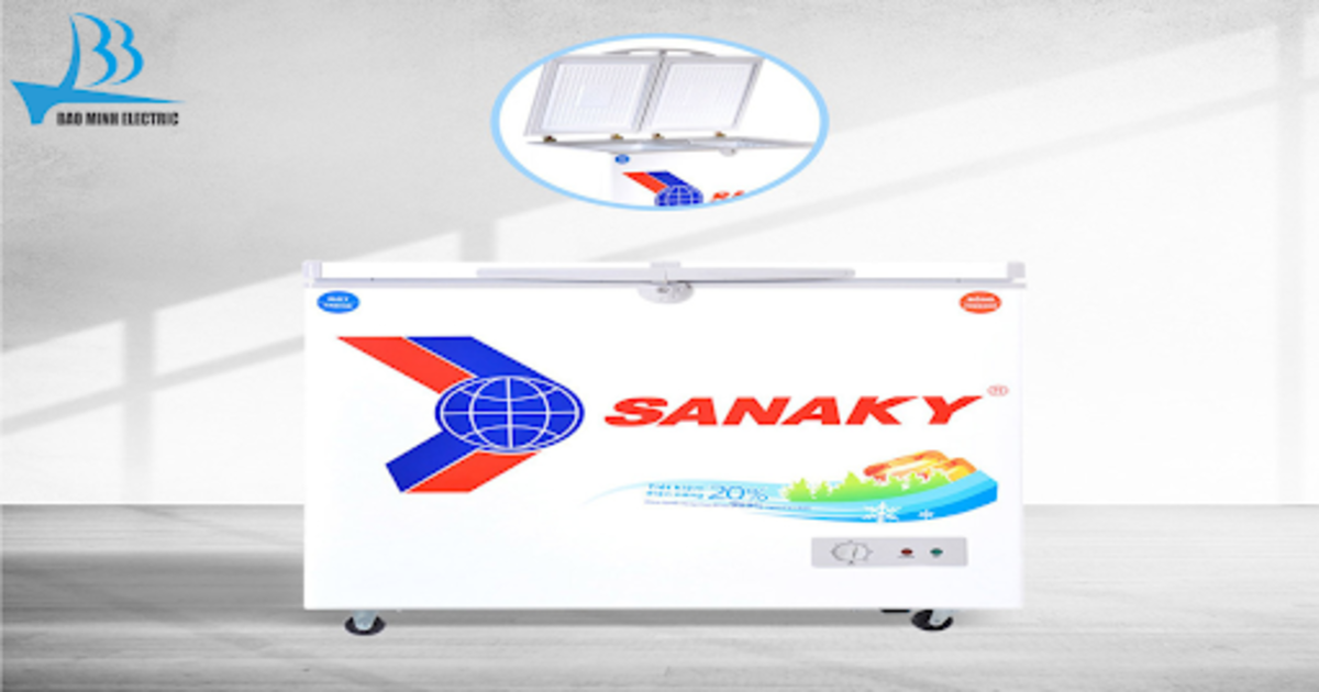  tủ đông Sanaky VH2599W1 200L 