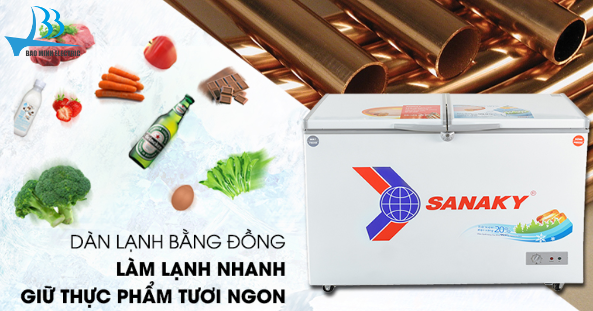 Tủ đông Sanaky VH2599A3