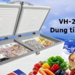 Tủ đông Sanaky VH2599A3