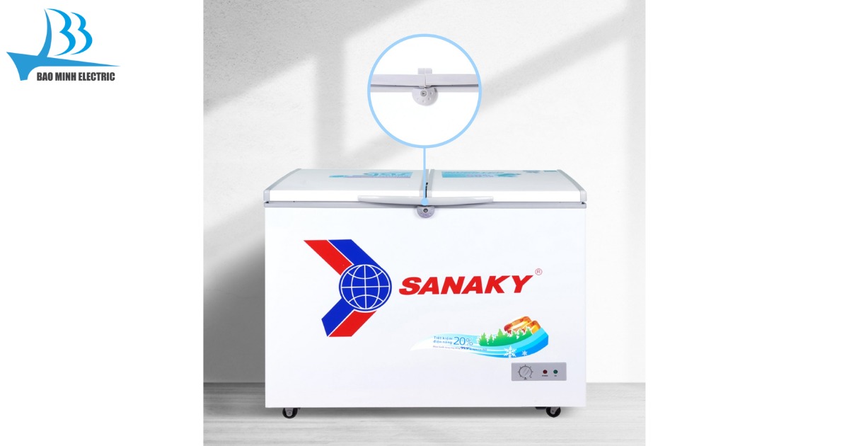 Tủ đông Sanaky VH4099A1