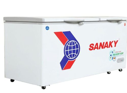 Tủ đông Sanaky VH6699W1