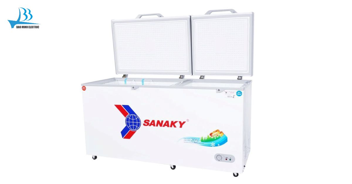 Tủ đông Sanaky VH6699W1