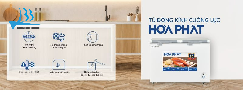 Tủ đông Hòa Phát HPF BD6245.T1