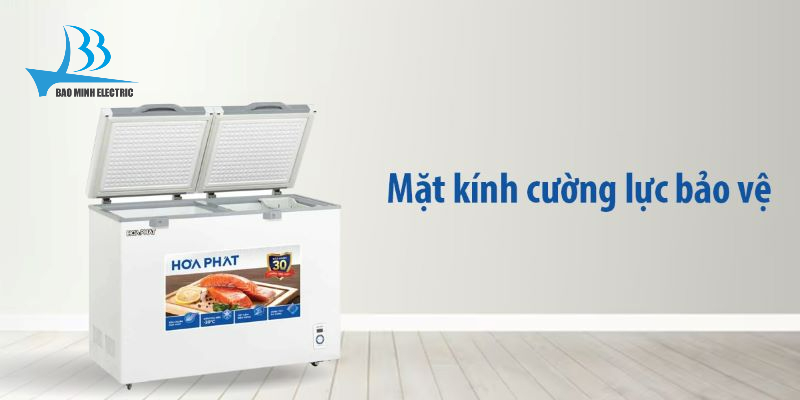 Tủ đông Hòa Phát HPF BD6245.T1