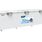 Tủ Đông Hoà Phát HPF AD61190-1