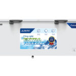 Tủ Đông Hoà Phát HPF AD8544