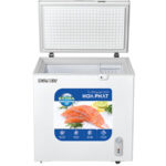 Tủ đông Hòa Phát HPF AN6162-2