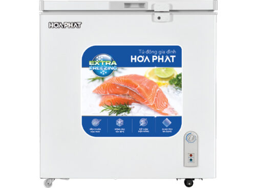 Tủ đông Hòa Phát HPF AN6162