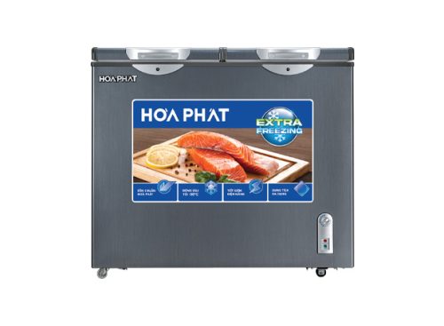 Tủ đông Hòa Phát HPF BD6205G