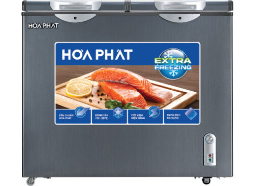Tủ đông Hòa Phát HPF BD6205G
