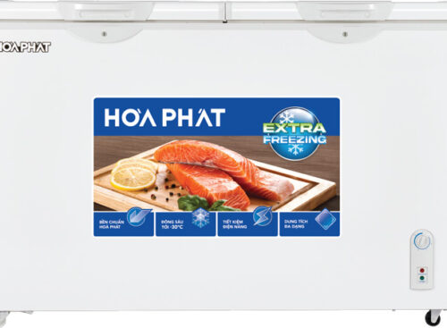 Tủ đông Hòa Phát HPF BD6245