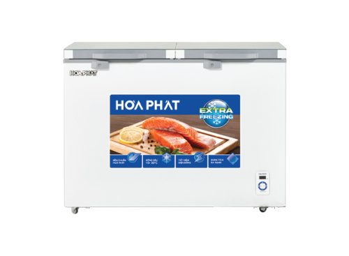 Tủ đông Hòa Phát HPF BD6245.T1