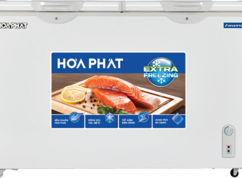 Tủ đông Hòa Phát HPF BD8205