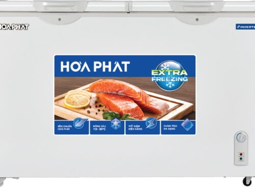 Tủ đông Hòa Phát HPF BD8245