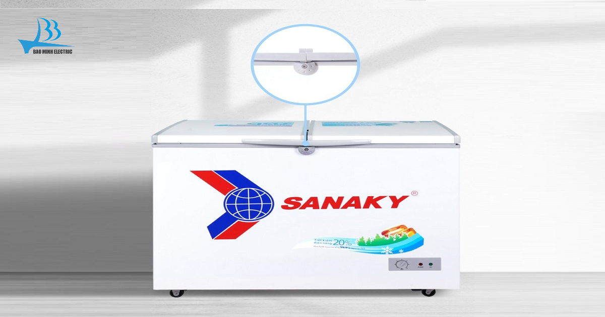 Tủ đông Sanaky VH3699A1