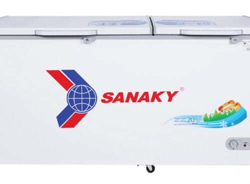 Tủ đông Sanaky VH-6699W1