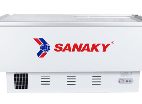 Tủ đông Sanaky VH-999K