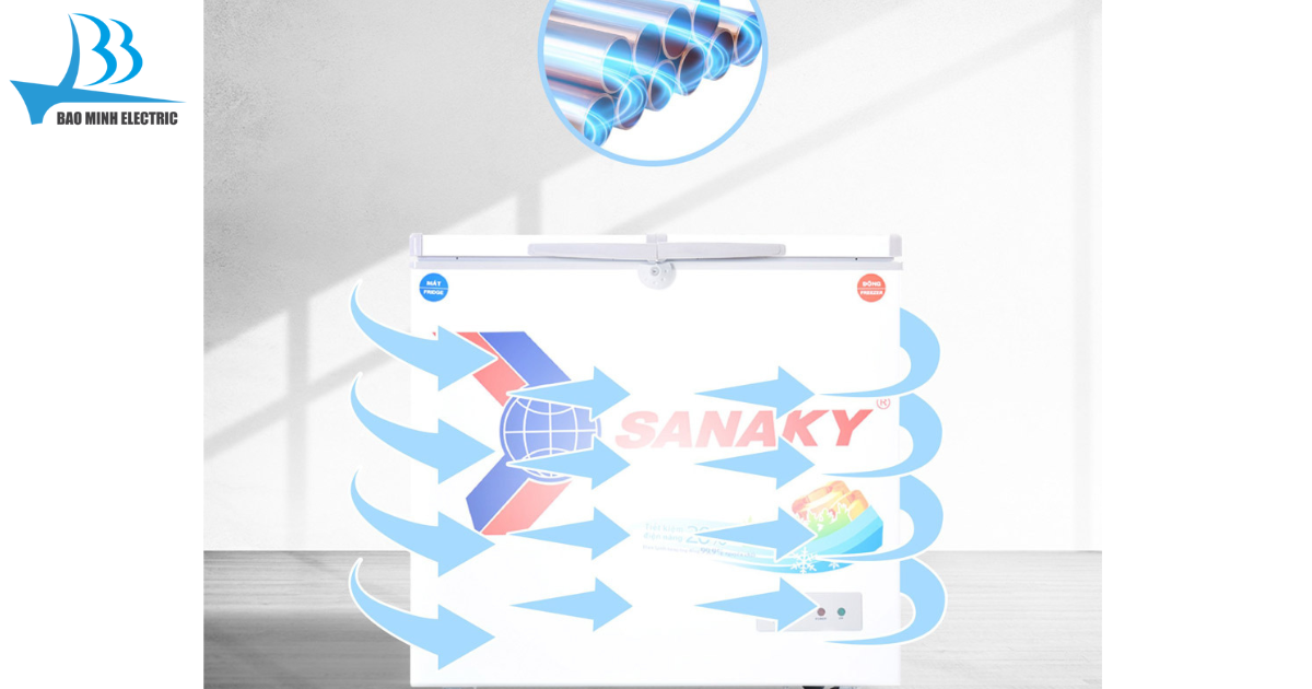 Tủ đông Sanaky VH2299W1