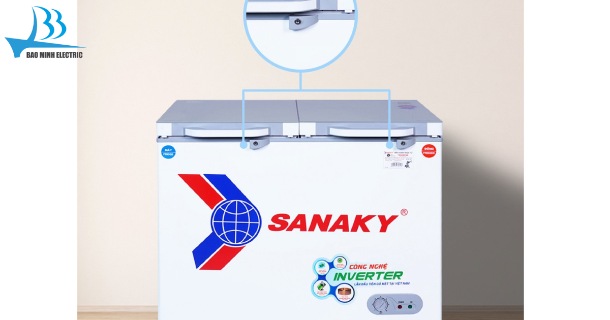 Tủ đông Sanaky VH2299W1