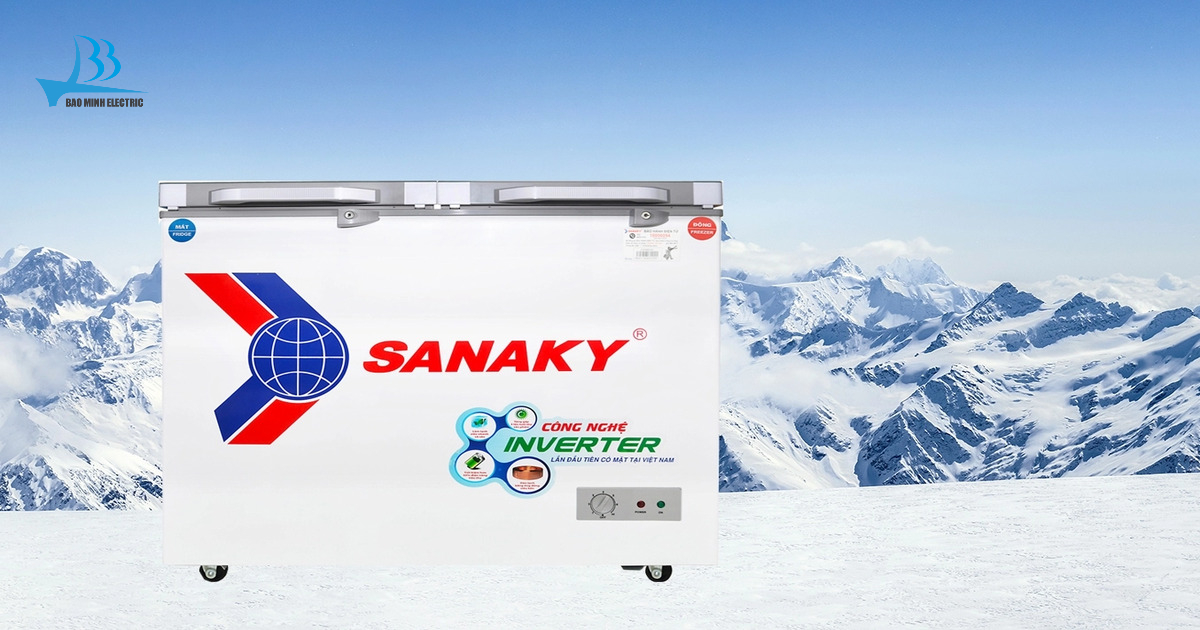 Tủ đông Sanaky VH3699W4K 280L