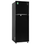Tủ lạnh Samsung RT22M4032BU/SV-1