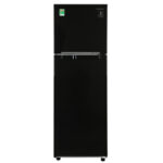 Tủ lạnh Samsung RT22M4032BU/SV