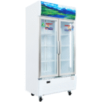 Tủ mát Sanaky VH-6009HP-1