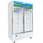 Tủ mát Sanaky VH-8009HP-1