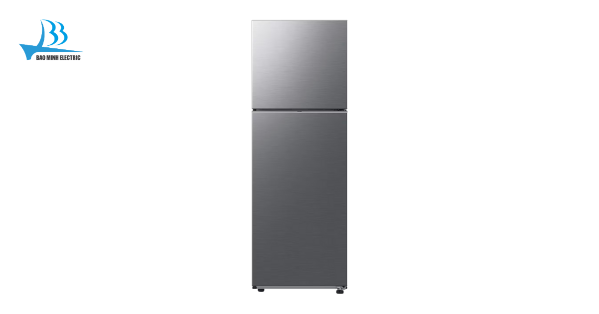 Tủ lạnh Samsung RT31CG5424S9SV 305 lít