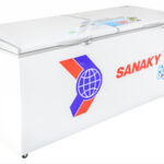 Tủ đông Sanaky VH-8699HY3-1