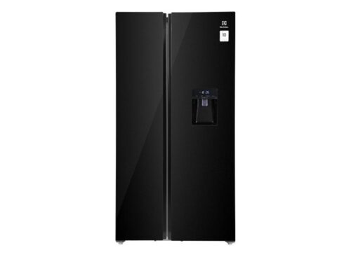 Tủ lạnh Electrolux ESE6645A-BVN