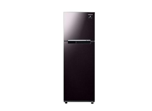 Tủ lạnh Samsung RT25M4032BY/SV