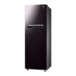 tủ lạnh Samsung RT25M4032BY/SV