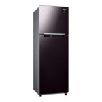 tủ lạnh Samsung RT25M4032BY/SV